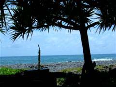Saxo soprano et mer sous vacoa